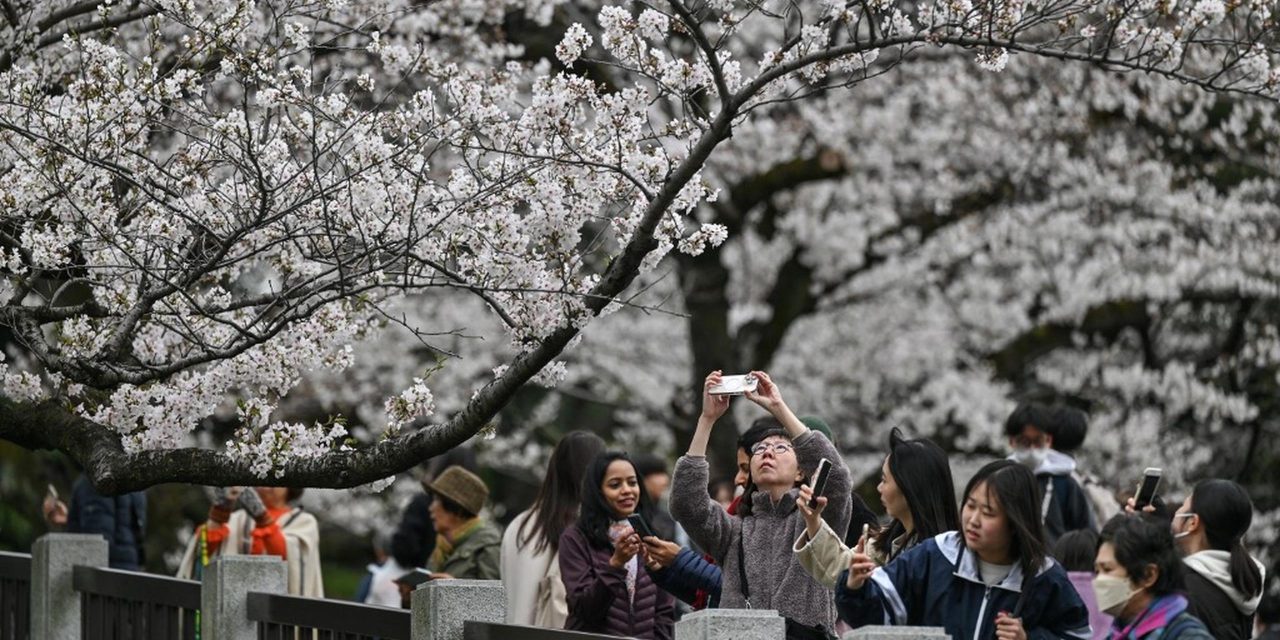 Minat Wisatawan Indonesia ke Jepang Terus Meningkat 2026