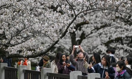 Minat Wisatawan Indonesia ke Jepang Terus Meningkat 2026