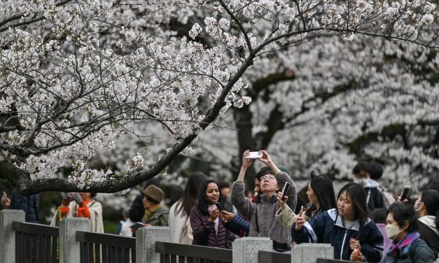Minat Wisatawan Indonesia ke Jepang Terus Meningkat 2026