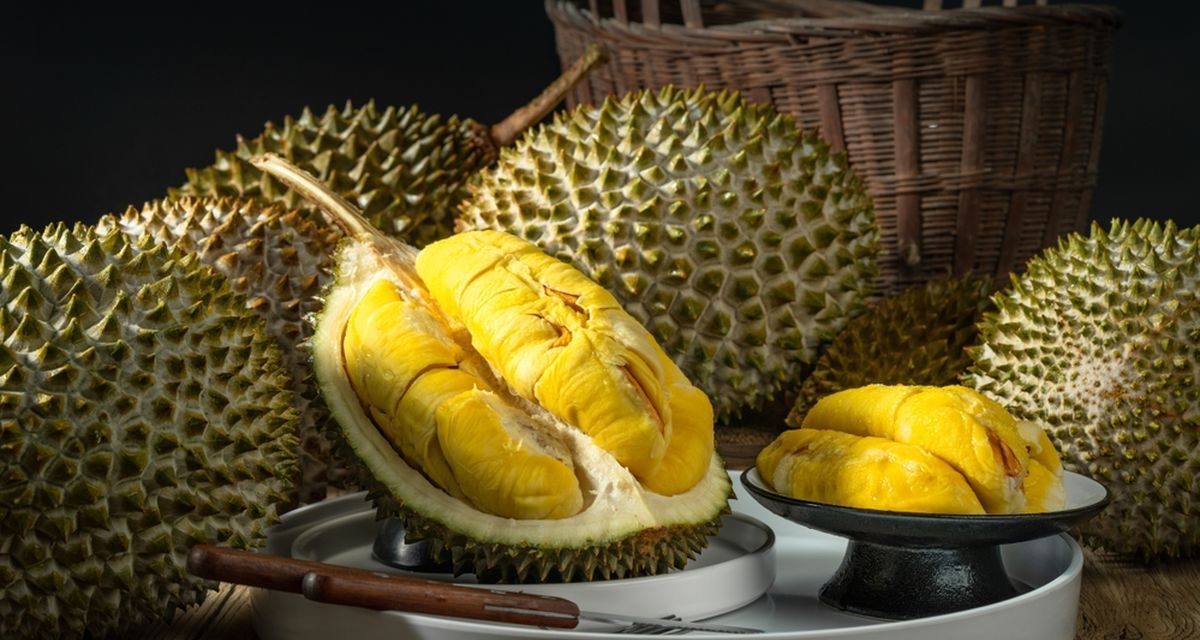 Pola Makan dan Pencegahan Ambeien Sejak Dini