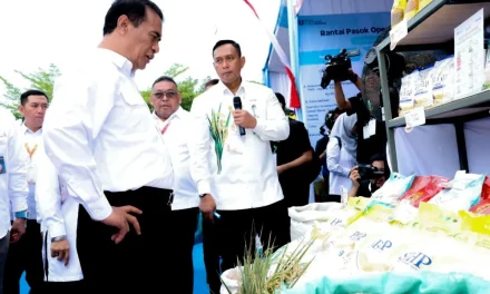 Rekor Penyerapan Gabah Bulog dan Penguatan Swasembada