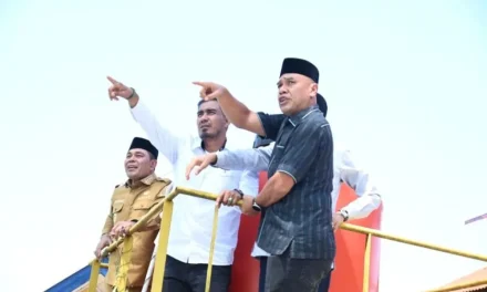 Fungsi Pasar Hewan Sibreh Sebagai Pusat Pengembangan
