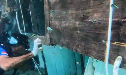 Penetapan Tersangka Kecelakaan Kapal di Perairan Komodo