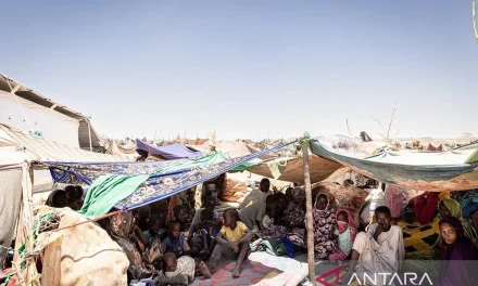 Krisis Pendanaan Ancam Bantuan Pangan di Sudan