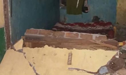 Gempa Flores Timur Picu Tanggap Darurat, Percepat Penanganan