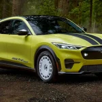 Strategi Global Ford di Tengah Dominasi Industri Otomotif China