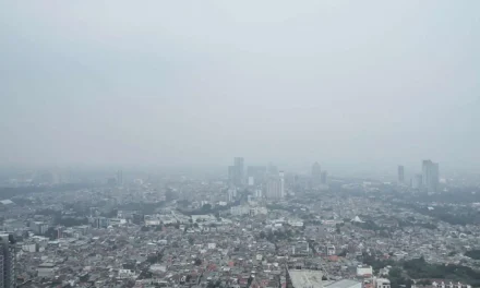 Udara Jakarta Peringkat Global, Dampak Kesehatan, Pengendalian