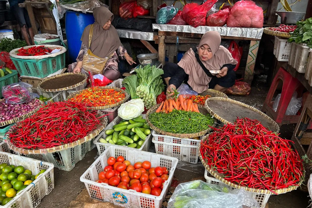 Harga Cabai