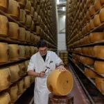 Gelombang Panas Italia Menekan Produksi Keju Parmigiano Reggiano