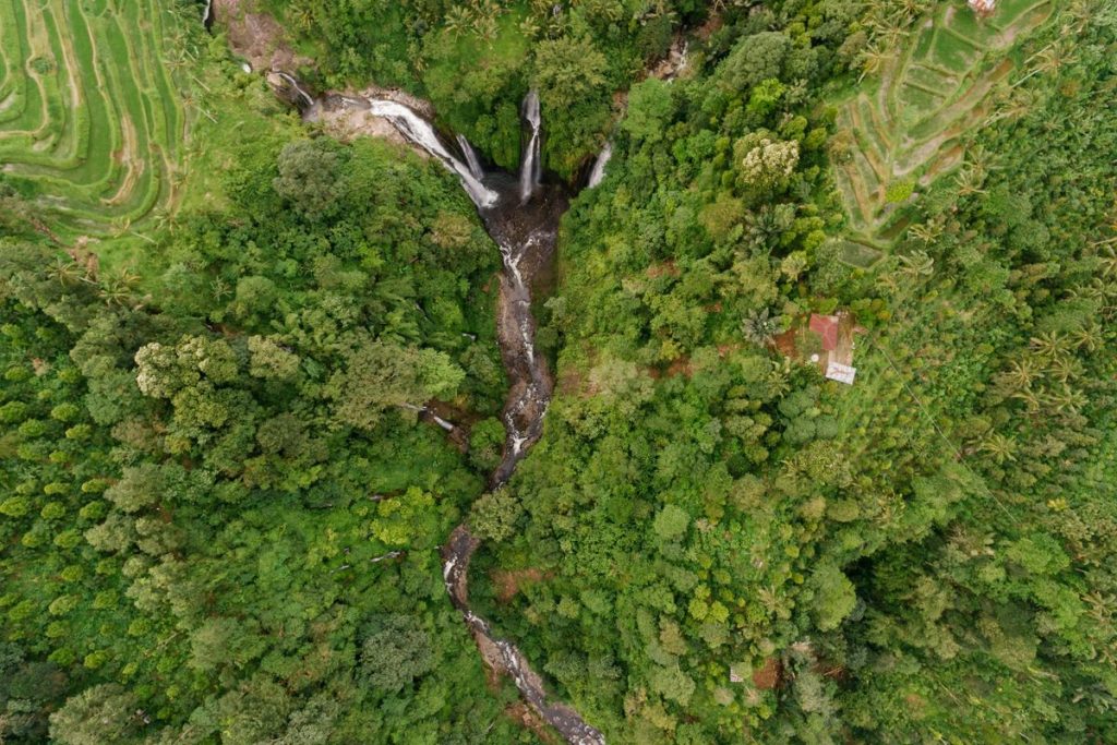 Proyek penanaman tanaman spekboom di Afrika Selatan yang didukung Amazon untuk menyerap karbon dan memulihkan ekosistem.