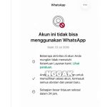 Pakar Ungkap Penyebab Akun WhatsApp Tiba-Tiba Logout dan Diblokir, Ini Cara Menghindarinya