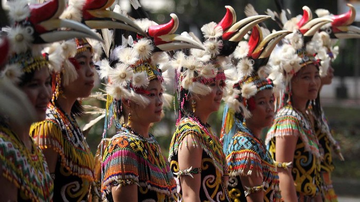 Suku Dayak Iban Kalimantan Barat Menjaga Tradisi Leluhur dan Kelestarian Hutan Adat