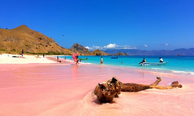 Menpar Siapkan Empat Langkah Pemulihan Pariwisata NTT Pascagempa M 7,7