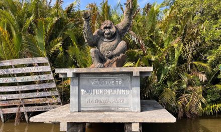 Rute ke Taman Nasional Tanjung Puting dari Jakarta, Lengkap hingga Naik Klotok