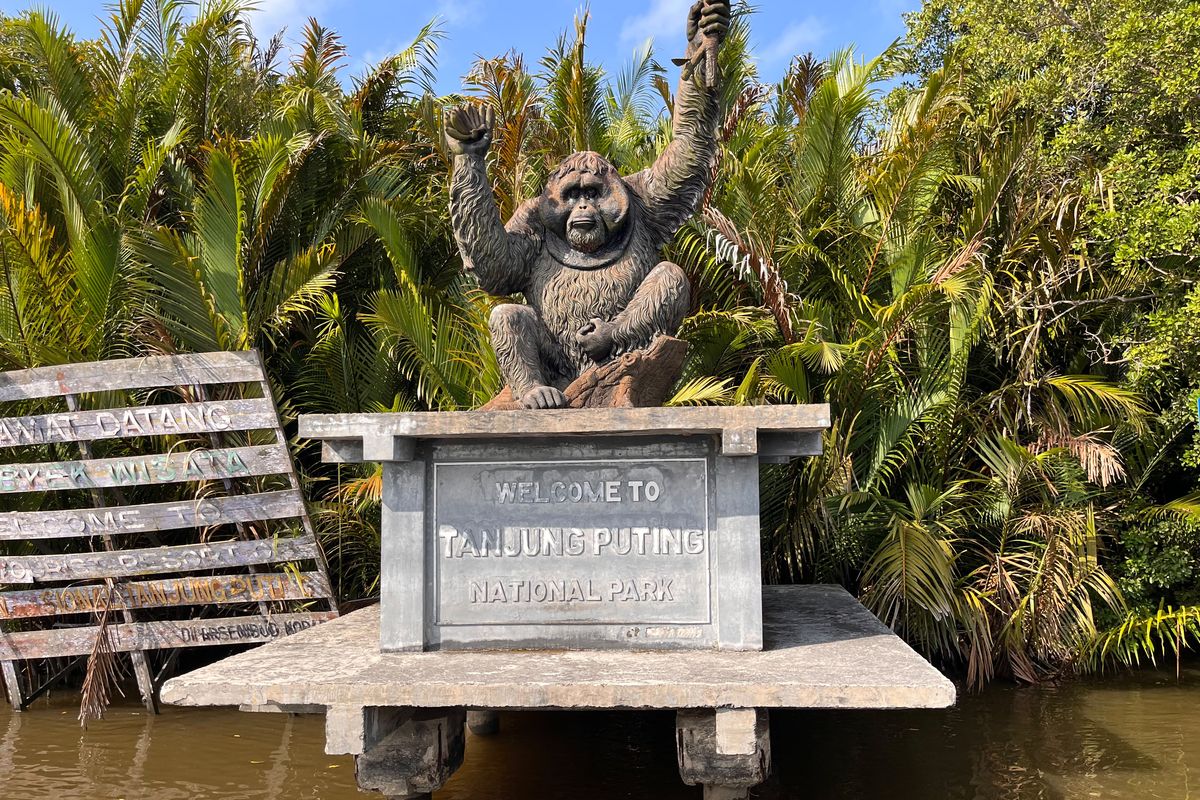 Rute Ke Taman Nasional Tanjung Puting